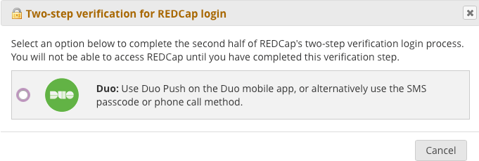 Duo screen: select duo as option